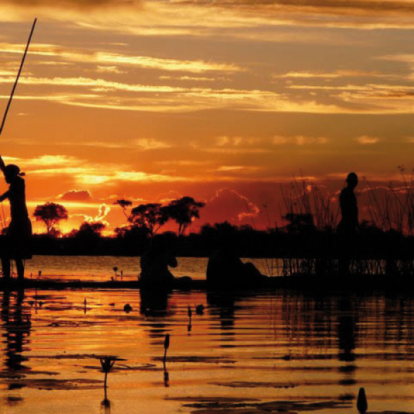 Experience Africa intensively: in small groups and with local expertise